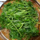 현대물텀벙이 이미지