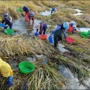 용산여자경로당 이미지