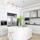 신비너스 이미지