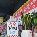 ○백마초교-농협옆 이면도로 | 양평 정육점 정육마트 용문산 근처 캠핑구이 세트 후기