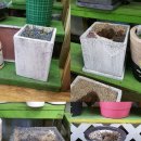 강릉원예사 이미지