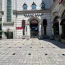 치료멍멍동물병원 이미지