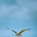 슈퍼석세스 이미지