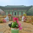 소금뱃길 이미지