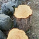 가평독채펜션힐링하우스 이미지