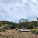 중말쉼터 이미지