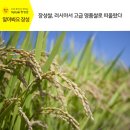 장성통합RPC 이미지