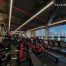 로그짐 강남구청점 이미지