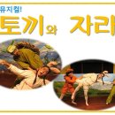 토끼와 자라 이미지