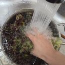 은희 | [가락시장 정육점] 송파 정육점 추천, 가락몰 1층 '은희축산' 후기