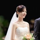 스테이 레브 이미지