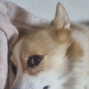 마린파크 동물병원 이미지