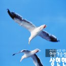 장군터(1) 이미지