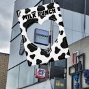 토마토모터스 | 수원 행궁동 데이트하기 좋은 힙한 무드의 페퍼로니 피자 맛집 추천, 캄하우프