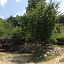 자연쉼터 이미지