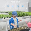 먹이팜 | 놀면서 배우는 스마트팜, 이모농장 첫 방문 후기 (상어먹이주기, 스마트팜농작물수확, 샌드위치만들기...