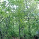 삼성산터널길 이미지