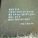 이영춘「풀잎」 이미지