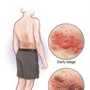 종로센트럴약국 이미지