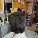 김선자미용실 - 송파구 | 김선자미용실