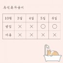 샤워앤독 이미지