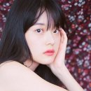 스토리웹북스 이미지