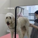 러브몽먼트 이미지