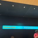피카소 동물병원 | 뉴욕 여행 모마미술관 (MoMA) 후기 [현대카드 무료입장, 티켓 비교, 모마스토어]