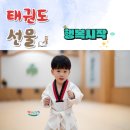 용인대 나라찬 태권도 이미지