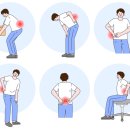흑석메트로정형외과의원 | 상도역 정형외과 허리가 늘 뻐근하고 당긴다면? 만성요통일까?