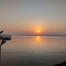 일출공인중개사사무소 이미지