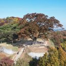 임천면행정복지센터 이미지