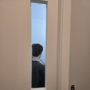 왕초보 바이올린 이미지