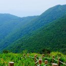 대덕산주유소 이미지