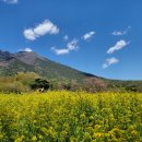 평산마을길 이미지