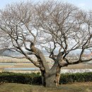 궁터마을 이미지