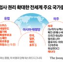 안락사 원톱서비스가 70만원? 이미지