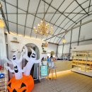 구라농장 | 용인 체험농장 헤븐온어스 아이랑 가볼만한곳 추천