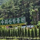 창박골 한증원 이미지