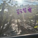 초원포도원 이미지