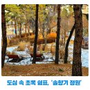 솔향기마을2단지 앞 | 도심 속 초록 쉼표, 우리 동네 '솔향기 정원'