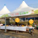 전임농장 | 도시농부학교9기 29주 차 후기, 추수감사제, 주말 농장, 천안 주말 농장, 친환경 농법, 천안 농업기술...