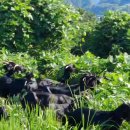 약산농장 이미지