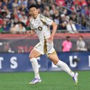 Tree of im 이미지