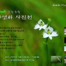 전국야생화전시회 이미지