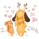 제일안전철물 이미지