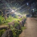 허왕후 오리명가 이미지