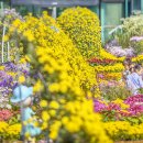 구청 남측광장 이미지