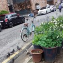 비둘기미용실 이미지