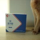 현대동물약품 이미지